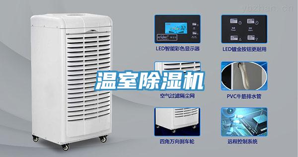 温室91免费网站在线观看
