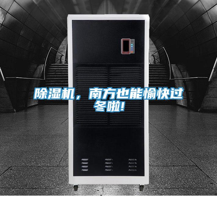 91免费网站在线观看，南方也能愉快过冬啦!