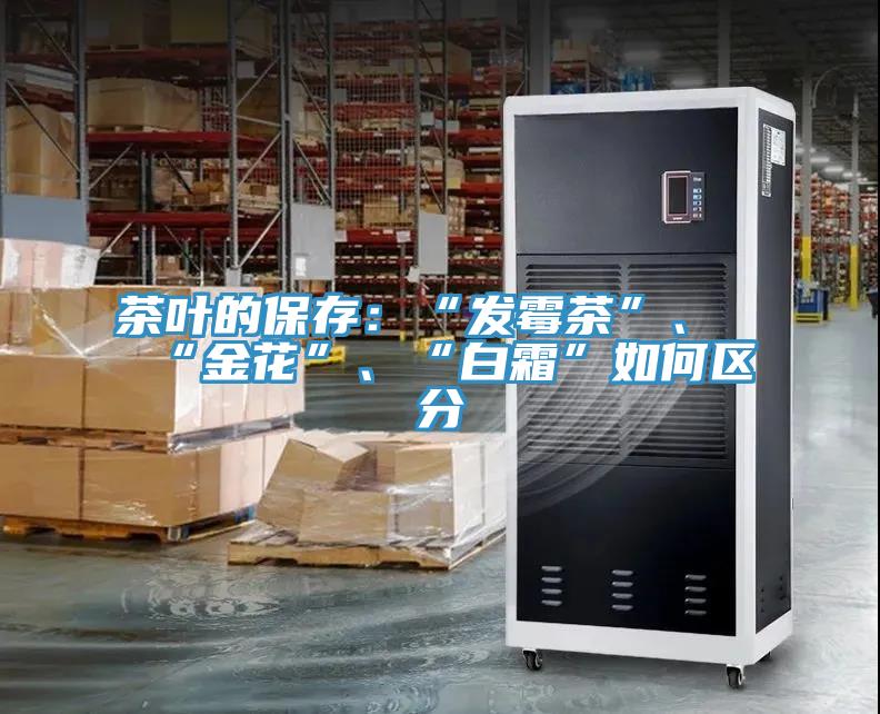 茶叶的保存：“发霉茶”、“金花”、“白霜”如何区分