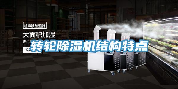 转轮91免费网站在线观看结构特点