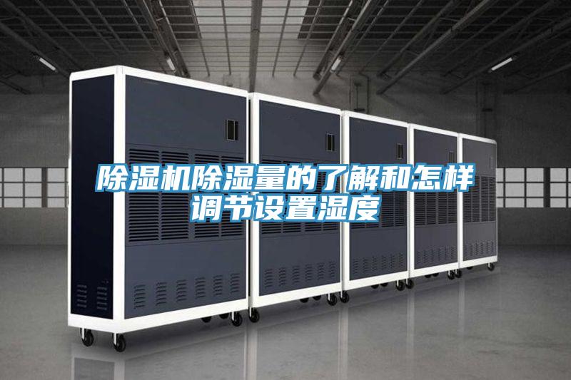 91免费网站在线观看除湿量的了解和怎样调节设置湿度