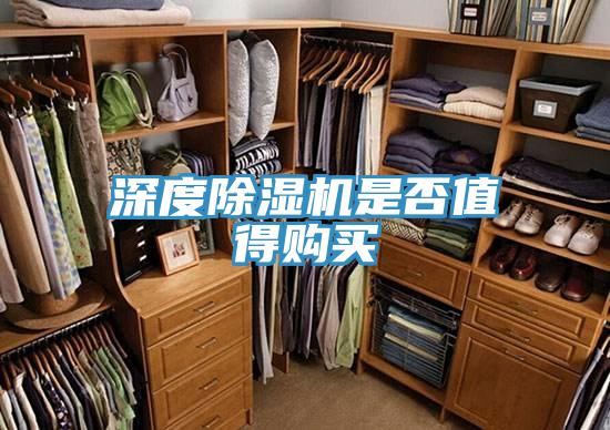 深度91免费网站在线观看是否值得购买