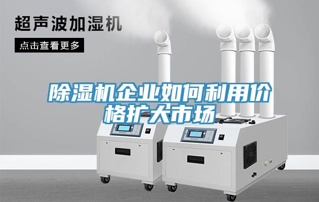 91免费网站在线观看企业如何利用价格扩大市场