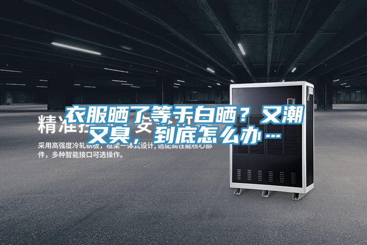 衣服晒了等于白晒？又潮又臭，到底怎么办…