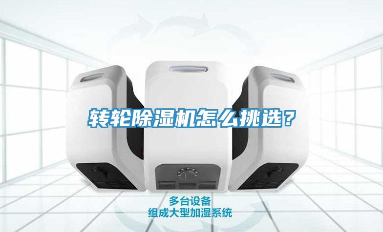 转轮91免费网站在线观看怎么挑选？