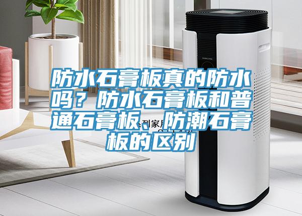 防水石膏板真的防水吗？防水石膏板和普通石膏板、防潮石膏板的区别