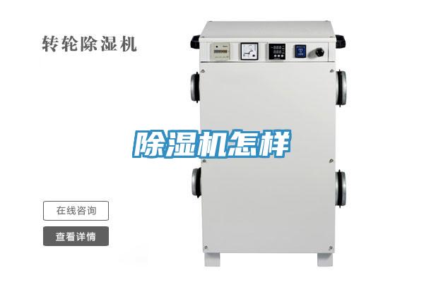 91免费网站在线观看怎样