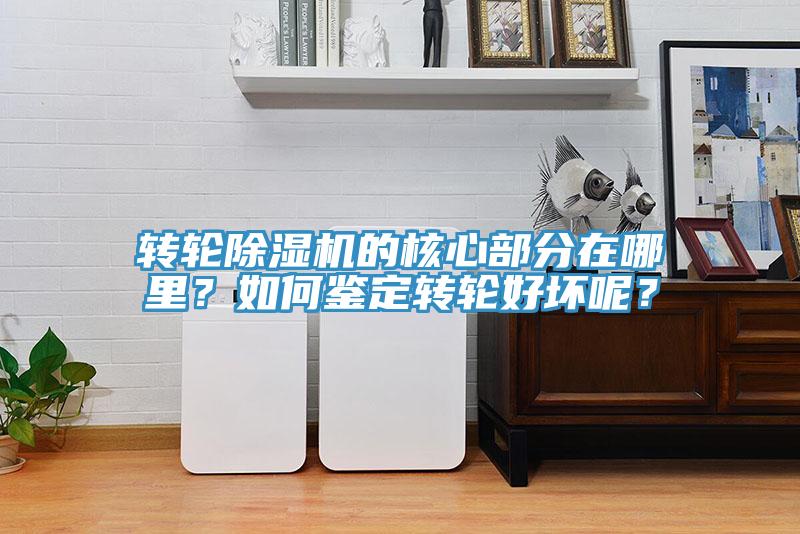 转轮91免费网站在线观看的核心部分在哪里？如何鉴定转轮好坏呢？
