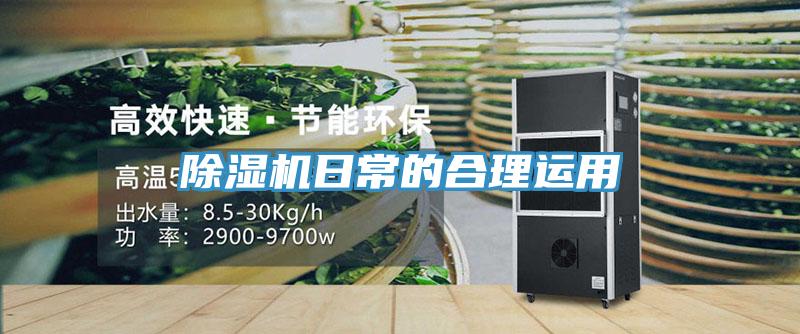 91免费网站在线观看日常的合理运用