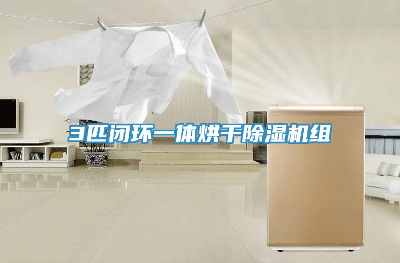 3匹闭环一体烘干91免费网站在线观看组