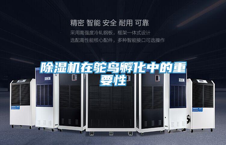 91免费网站在线观看在鸵鸟孵化中的重要性