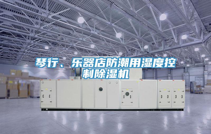 琴行、乐器店防潮用湿度控制91免费网站在线观看