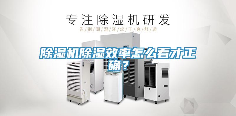 91免费网站在线观看除湿效率怎么看才正确？