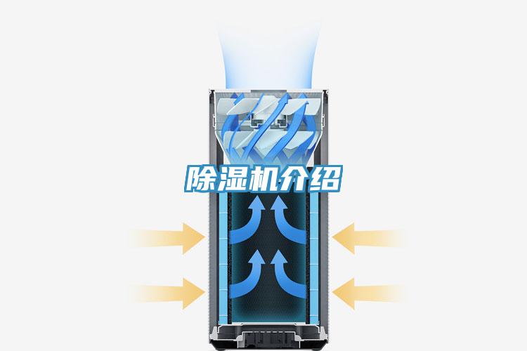 91免费网站在线观看介绍