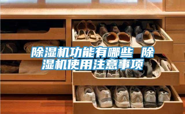 91免费网站在线观看功能有哪些 91免费网站在线观看使用注意事项