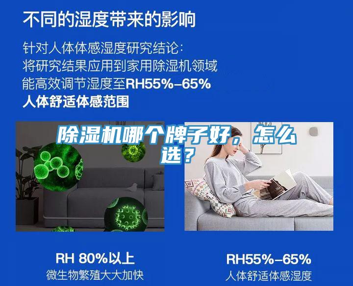 91免费网站在线观看哪个牌子好，怎么选？