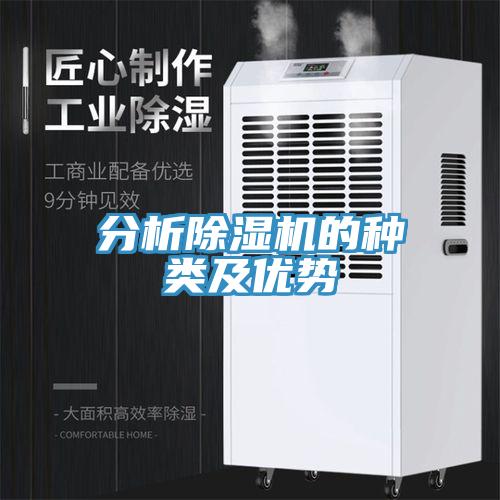 分析91免费网站在线观看的种类及优势