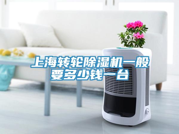 上海转轮91免费网站在线观看一般要多少钱一台