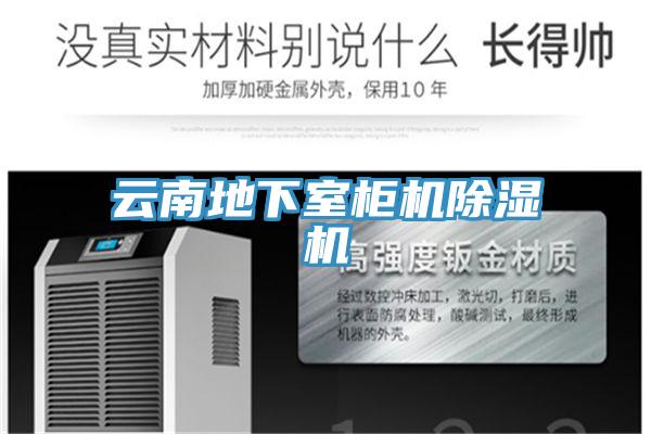 云南地下室柜机91免费网站在线观看
