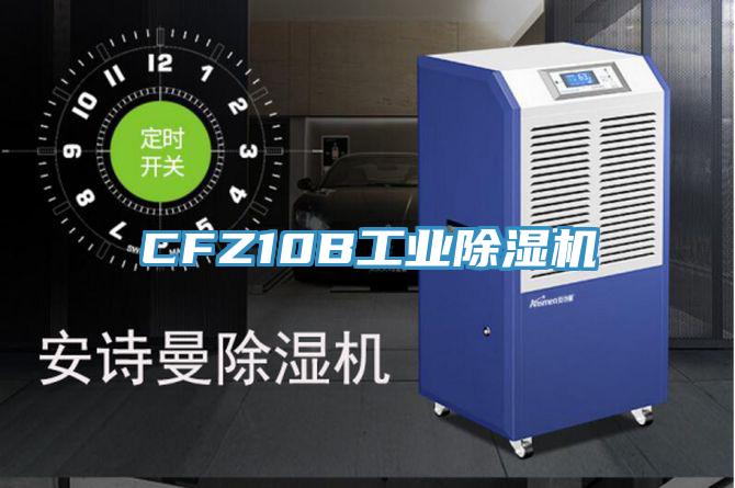 CFZ10B工业91免费网站在线观看