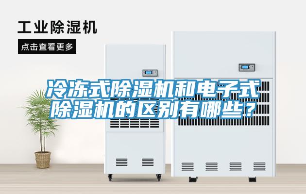 冷冻式91免费网站在线观看和电子式91免费网站在线观看的区别有哪些？