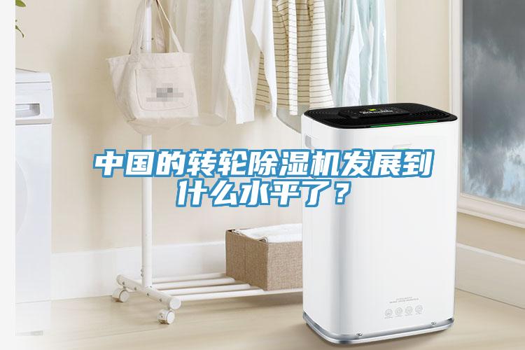 中国的转轮91免费网站在线观看发展到什么水平了？