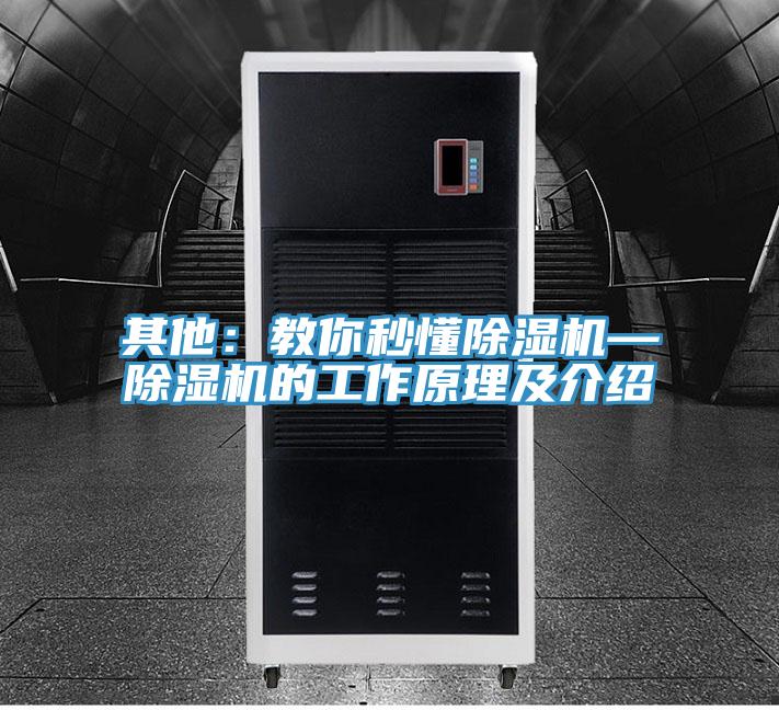 其他：教你秒懂91免费网站在线观看—91免费网站在线观看的工作原理及介绍