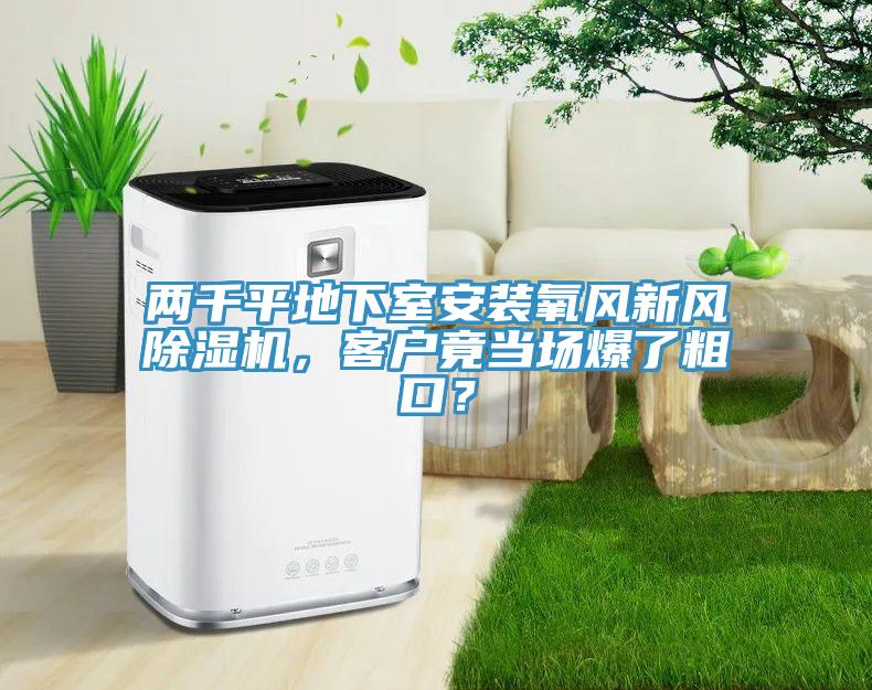 两千平地下室安装氧风新风91免费网站在线观看，客户竟当场爆了粗口？