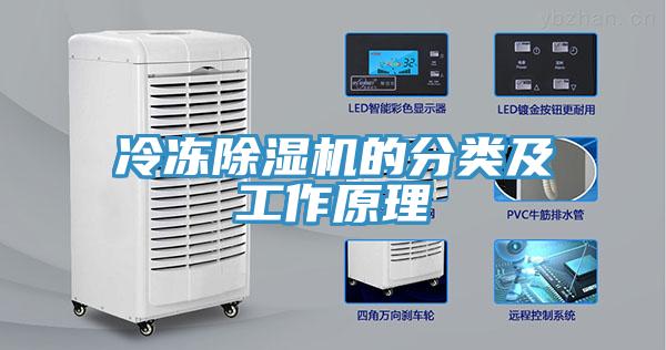 冷冻91免费网站在线观看的分类及工作原理