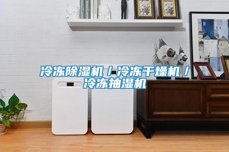 冷冻91免费网站在线观看／冷冻干燥机／冷冻抽湿机