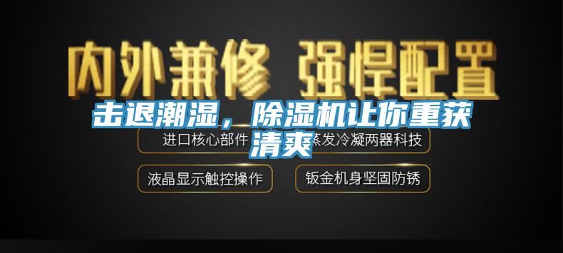 击退潮湿，91免费网站在线观看让你重获清爽