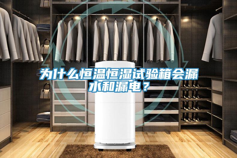 为什么恒温恒湿试验箱会漏水和漏电？