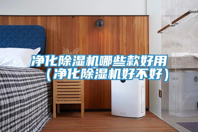 净化91免费网站在线观看哪些款好用（净化91免费网站在线观看好不好）