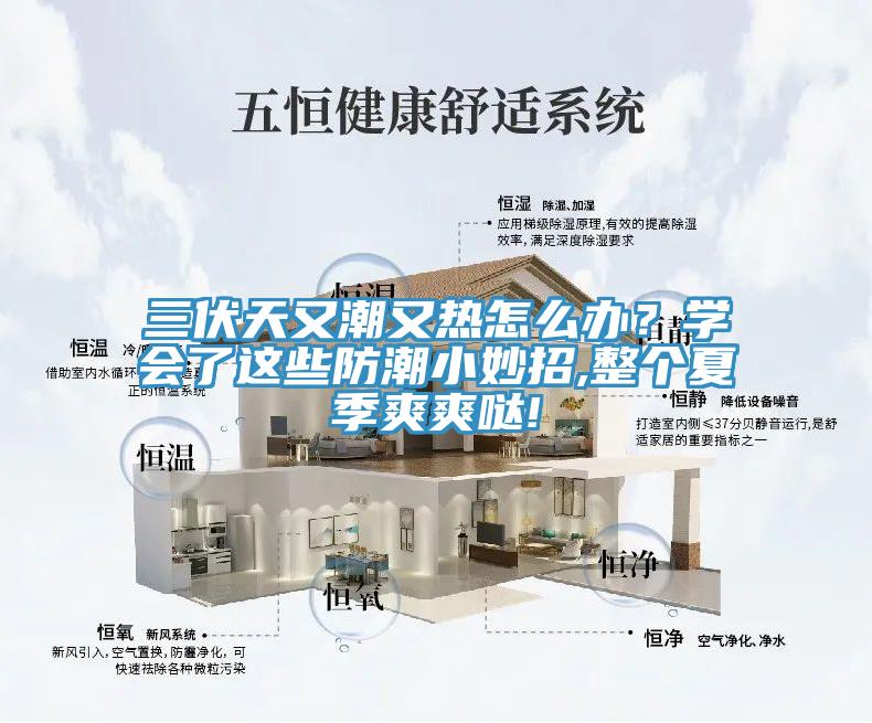 三伏天又潮又热怎么办？学会了这些防潮小妙招,整个夏季爽爽哒!