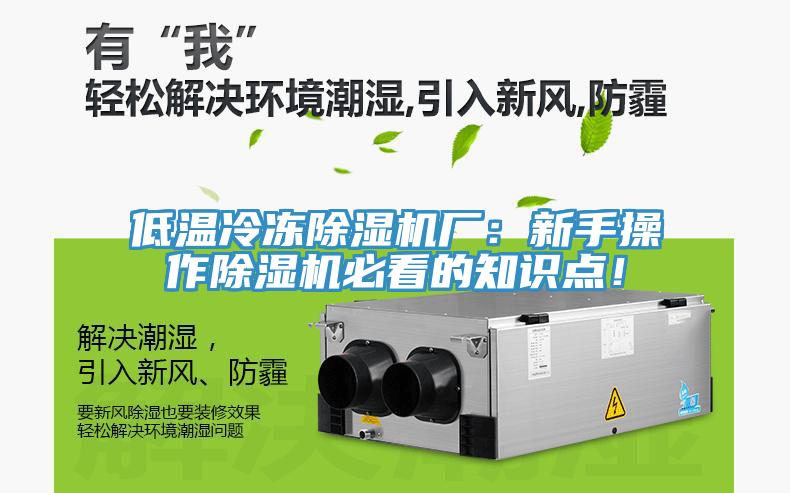 低温冷冻91免费网站在线观看厂：新手操作91免费网站在线观看必看的知识点！