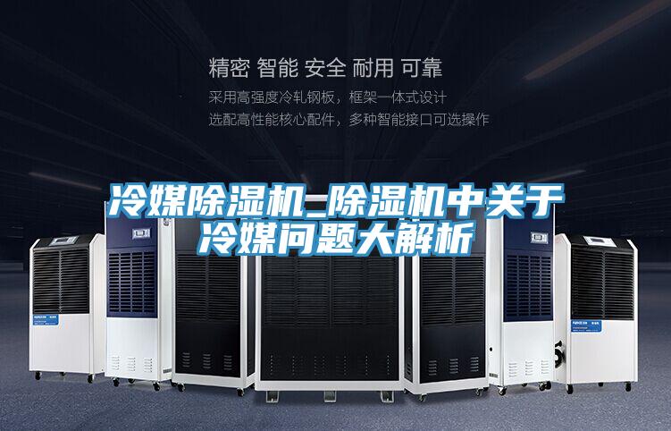 冷媒91免费网站在线观看_91免费网站在线观看中关于冷媒问题大解析