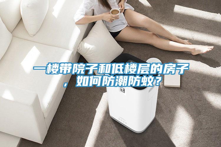 一楼带院子和低楼层的房子，如何防潮防蚊？