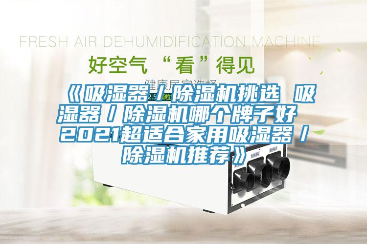 《吸湿器／91免费网站在线观看挑选 吸湿器／91免费网站在线观看哪个牌子好 2021超适合家用吸湿器／91免费网站在线观看推荐》