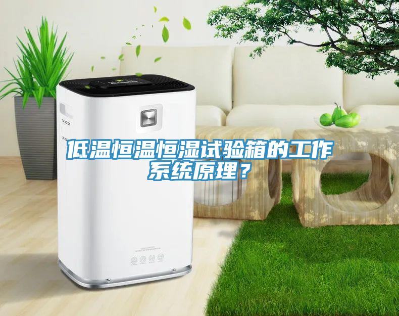 低温恒温恒湿试验箱的工作系统原理？