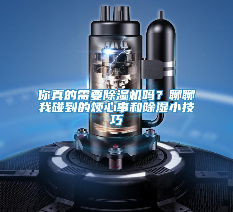 你真的需要91免费网站在线观看吗？聊聊我碰到的烦心事和除湿小技巧