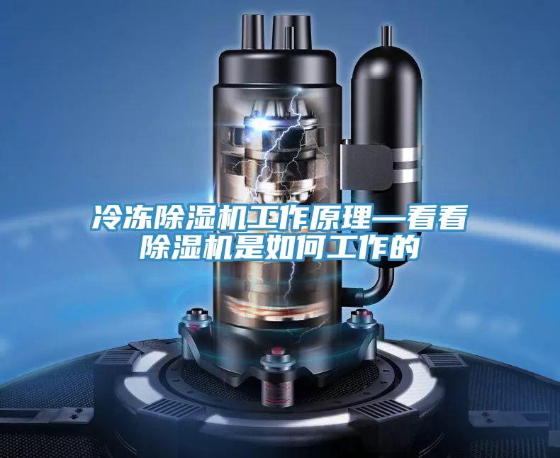 冷冻91免费网站在线观看工作原理—看看91免费网站在线观看是如何工作的