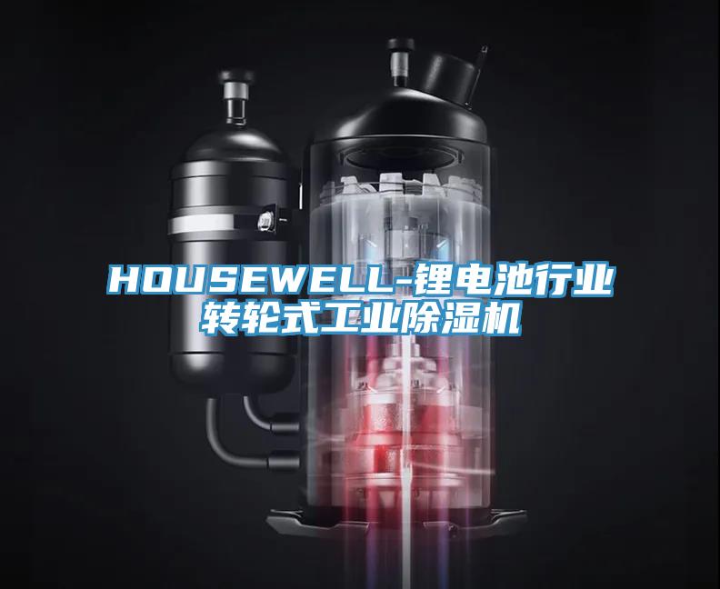 HOUSEWELL-锂电池行业转轮式工业91免费网站在线观看