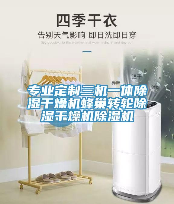 专业定制三机一体除湿干燥机蜂巢转轮除湿干燥机91免费网站在线观看