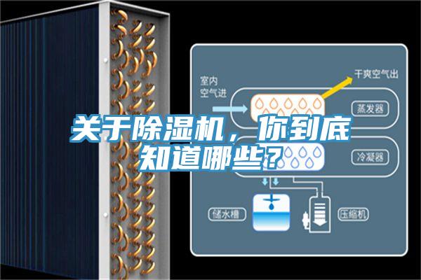 关于91免费网站在线观看，你到底知道哪些？