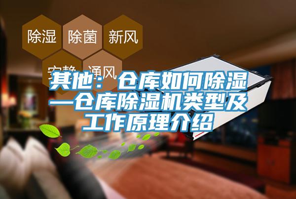 其他：仓库如何除湿—仓库91免费网站在线观看类型及工作原理介绍