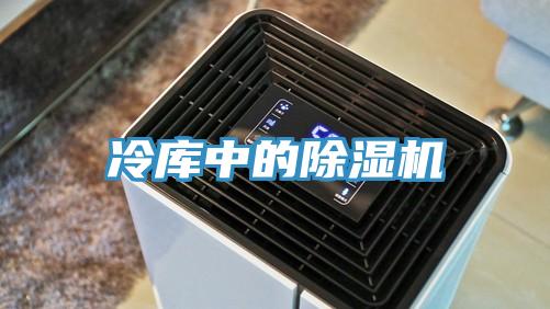 冷库中的91免费网站在线观看
