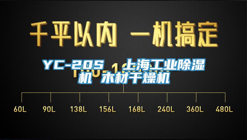 YC-20S  上海工业91免费网站在线观看 木材干燥机