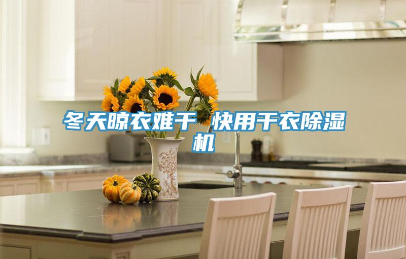 冬天晾衣难干 快用干衣91免费网站在线观看
