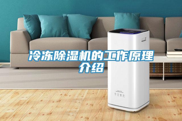 冷冻91免费网站在线观看的工作原理介绍