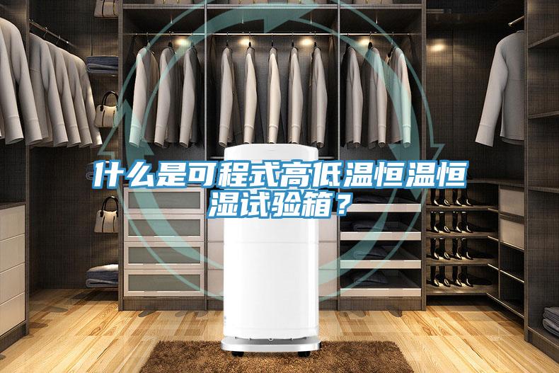 什么是可程式高低温恒温恒湿试验箱？